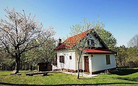 Holiday Home Coprnička Hiša
